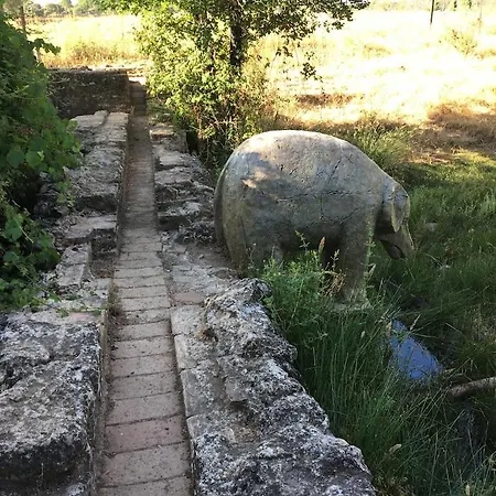 El Rincon De Angela * Κόρδοβα