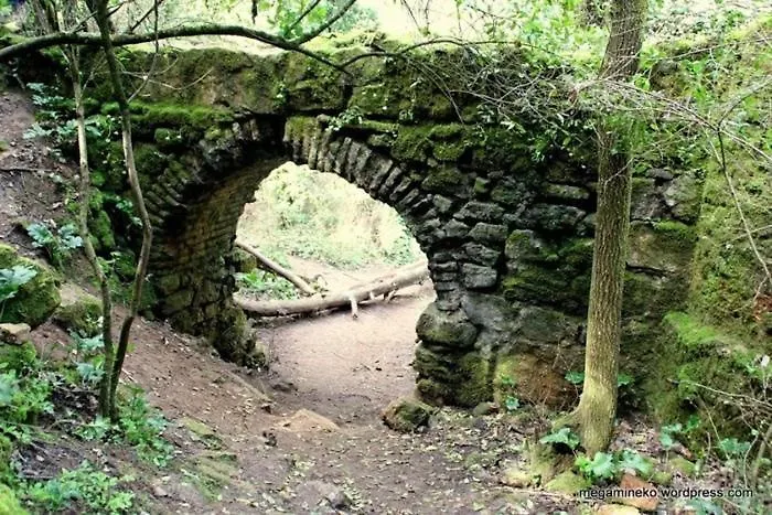 El Rincon De Angela *