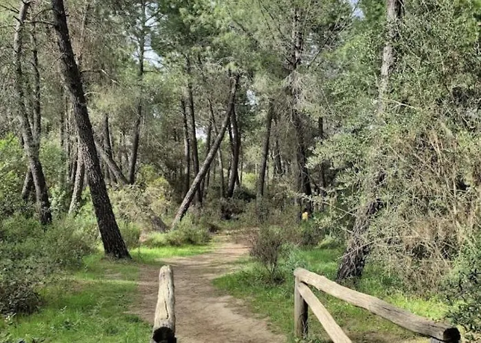 Holiday home El Rincon De Angela *